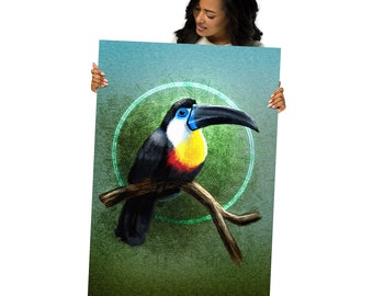 Illustrated Toucan Bird Poster - Home Decor Wall Art Print