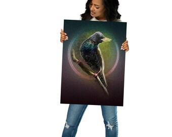 Illustrated Common Starling Bird Poster - Home Decor Wall Art Print