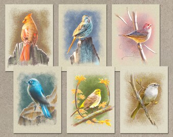 Song Birds Greeting Cards, 5x7" Assorted All Occasion Note Cards, 6 Unique Designs, Blank Inside, with Envelopes
