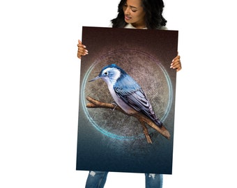 Illustrated White-Breasted Nuthatch Bird Poster - Home Decor Wall Art Print