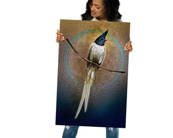 Illustrated Indian Paradise Flycatcher Bird Poster - Home Decor Wall Art Print