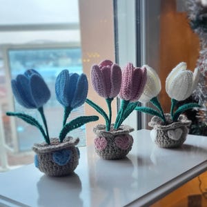 Op de afbeelding: Drie gehaakte bloemstukken in potten. De bloemen zijn roze, blauw en wit. De potten zijn beige met gehaakte hartjes.