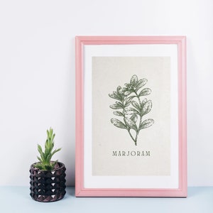 Majoran Botanischer Druck | Handgezeichnete Küchenkräuter, botanische abstrakte Kunst, Kunstdrucke für Küche, große Poster, Kunstdrucke Set