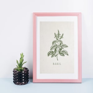 Basilikum Kraut Print | Handgezeichnete Küchenkräuter, botanische abstrakte Kunst, Kunstdrucke für Küche, große Poster, Kunstdrucke Set