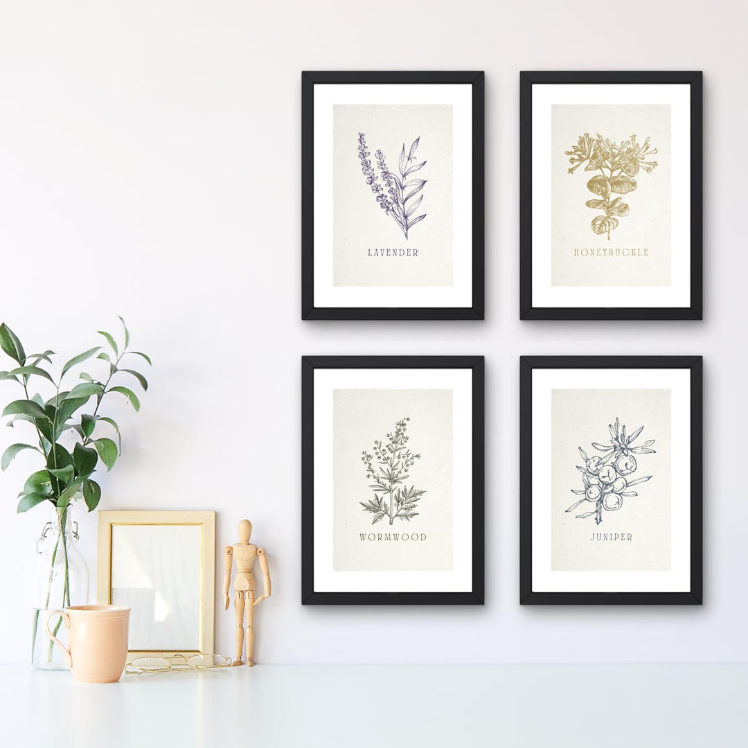 Vintage Botanical Print Bundle | Handdrawn Kitchen Herbs, Kitchen Wall ...