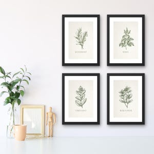 Vintage Kräuter Print Bündel | Handgezeichnete Küchenkräuter, Küchen Wand Dekor, moderne Kunstdrucke, große Fine Art Poster, botanische Küchenkunst
