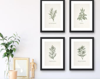 May include: Set of four black framed prints with white backgrounds and illustrations of rosemary, basil, oregano, and marjoram.