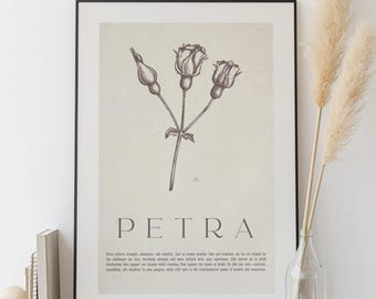 Vintage Floral Print, Antique Rose Printable Wall Art, Rose Flower Sketch, Botanical Farmhouse Décor, Spring French Country Digital Art