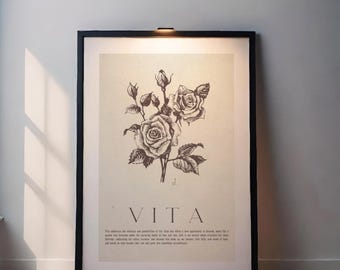 Vintage Floral Print, Antique Rose Printable Wall Art, Rose Flower Sketch, Botanical Farmhouse Décor, Spring French Country Digital Art