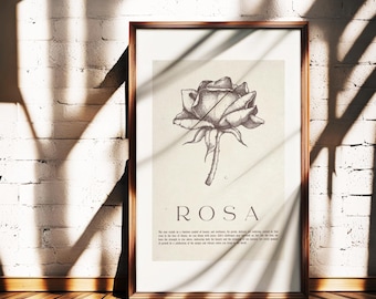 Vintage Floral Print, Antique Rose Printable Wall Art, Rose Flower Sketch, Botanical Farmhouse Décor, Spring French Country Digital Art