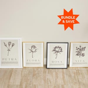 Vintage Floral Print Bundle, Antique Rose Printable Wall Art, Flower Sketch, Botanical Farmhouse Décor, Spring French Country Digital Art