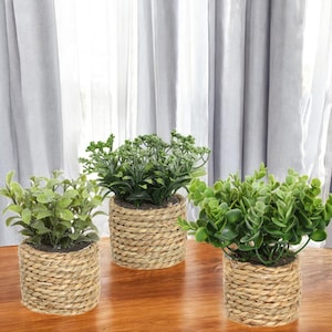 Mini pianta finta realistica in vaso – Mini succulenta decorativa ultra-realistica – Piccola pianta finta per mensole, scrivanie, verde decorativo per casa e ufficio