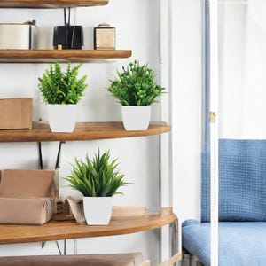 Puede incluir: Tres plantas artificiales en macetas sobre un estante de madera. Las plantas están en macetas blancas y están dispuestas en fila. El estante está contra una pared blanca.
