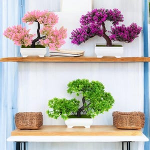 May include: Three artificial bonsai trees in white pots on a wooden shelf. The bonsai trees are pink, purple, and green.