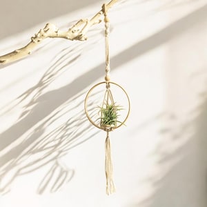 Macrame Air Plant Hanger: Boho Home Decor with Gold Hoop