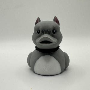 Pitbull Duck