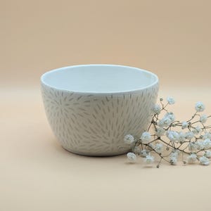 May include: A white ceramic bowl with a textured, dotted pattern in a light gray color. The bowl is set on a light peach background, with a sprig of white baby's breath flowers to the side.