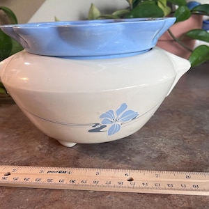 African Violet, XL Size Self-watering Ceramic 2 Piece Pot, White with Flower Decal & Light Blue Insert