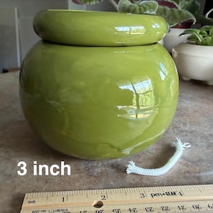 May include: A glossy, olive green ceramic self-watering planter with a rounded body and a wide, thick rim. A white cotton wick extends from the base. A wooden ruler is positioned at the bottom, indicating a 3 inch measurement.