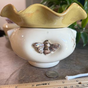 May include: A cream-colored ceramic planter with a ruffled yellow rim and a raised, metallic-toned bee emblem on the front. A silver coin and a wooden ruler showing measurements in inches are positioned in front of the planter base.