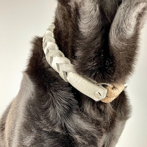 Collier pour chien haut de gamme fait à la main en cuir et corde, cuir pleine fleur, collier de haute qualité et durable pour grands et petits chiens