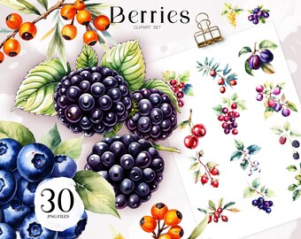Aquarel bessen clipartset, handgeschilderd fruit png (digitale download)