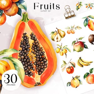 Watercolor Fruits Clipart Set, Tropical Fruit PNG, Hand Painted Fruit Illustration, Digital Download, Orange Apple Banana Pear Coconut Art