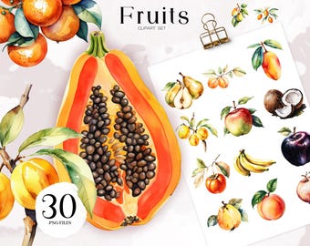 Akvarell frukter Clipart Set, tropisk illustration (digital nedladdning)