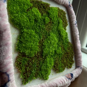 Puede incluir: Una pieza de arte textil cuadrada hecha a mano con un diseño texturizado de musgo verde y marrón. El musgo se encuentra sobre un fondo blanco y está enmarcado por un borde rosa y afelpado con un patrón azul.