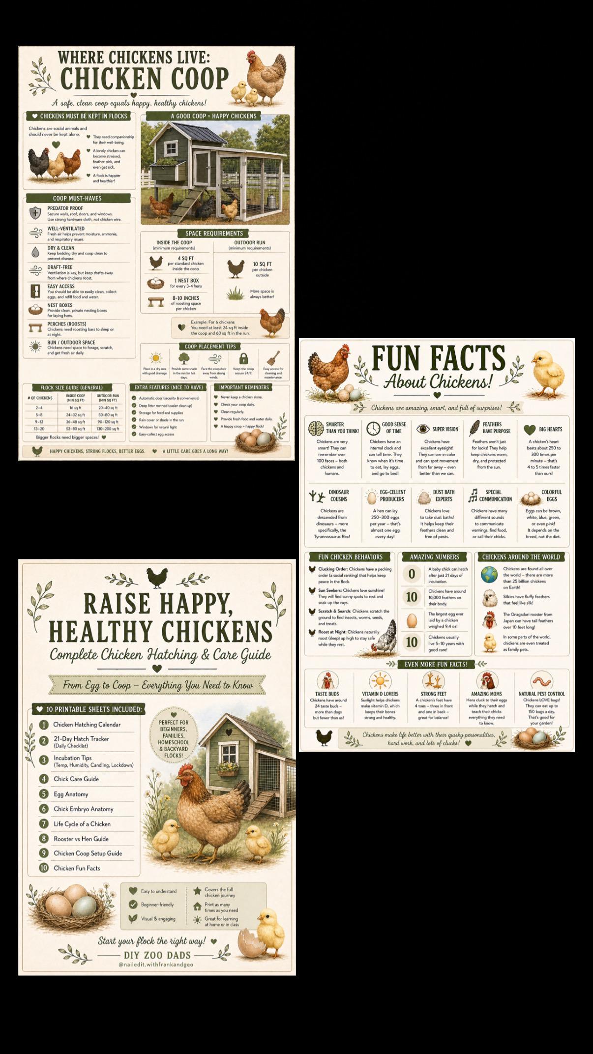 Printable Chicken Hatching Chart.pdf Chicken Hatching Guide Printable Bundle | Incubation Chart, Chick Care ...