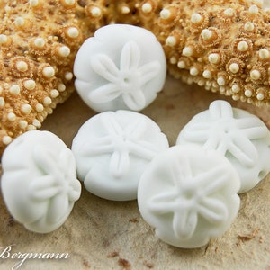 May include: Close-up of white sand dollar beads with a starfish on a textured background. The sand dollar beads have a detailed, star-shaped design. The starfish is a light brown color.