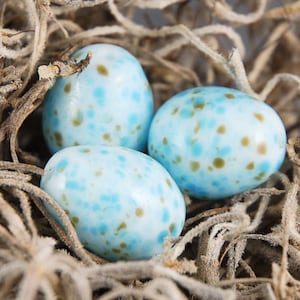 Large Robin Egg Lampwork Glass Bead, Bird Lovers, Blue Brown Handmade Jewelry Supplies