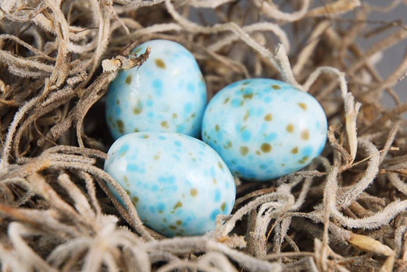 Large Robin Egg Lampwork Glass Bead, Bird Lovers, Blue Brown Handmade Jewelry Supplies image 1