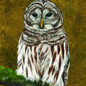 Barred Owl- ORIGINAL Oil Painting, Bird Art, Hand Painted Bird