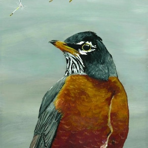 American Robin Portrait ORIGINAL Oil Painting, Bird Art, Hand Painted Bird