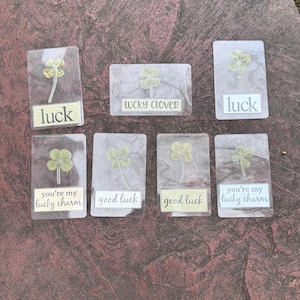 VRAI carte trèfle à 4 feuilles