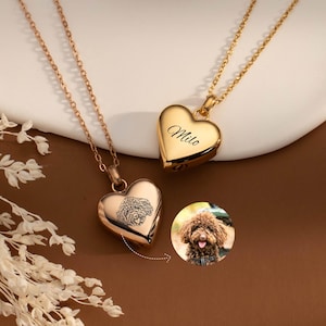 Urn Necklace for Pet Ashes, Pet Ash Holder, Heart Cremation Necklace, Ash Necklace, Heart Cremation Jewelry, Pet Loss Gift, Gift for Dog Mom