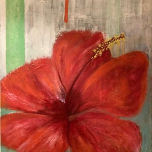 Hibiscus