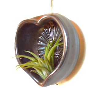 May include: A black heart-shaped ceramic planter with a textured surface, hanging from a string. A green air plant is growing inside the planter.