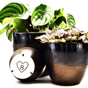 May include: Three ceramic plant pots with plants. The pots are dark with a metallic sheen, and one has a white base with a heart and the number 8. One pot holds a plant with green and white striped leaves, and another has pink and green foliage.