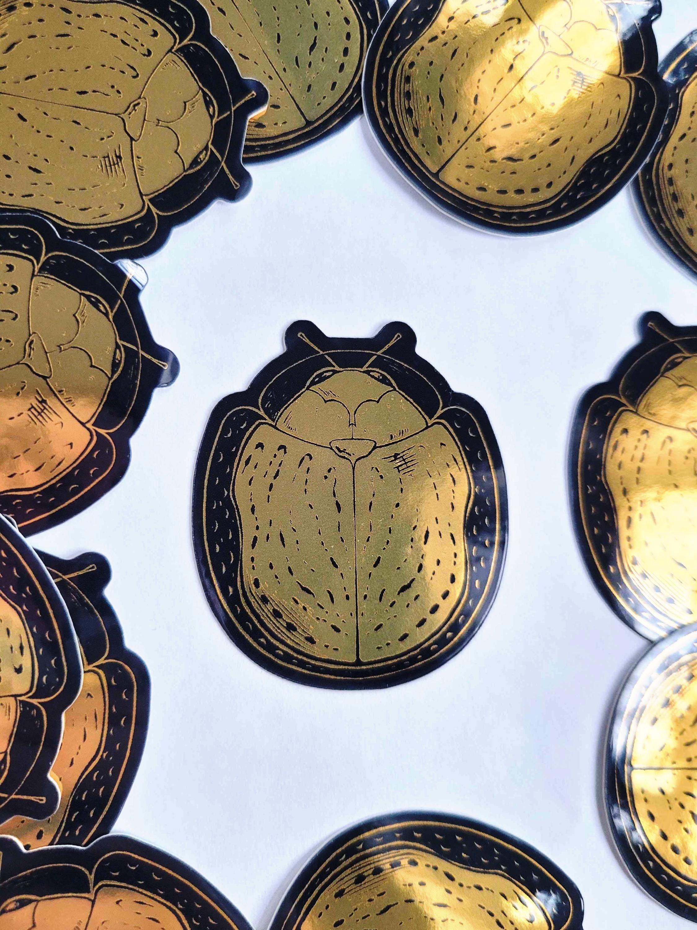 黄金虫 Golden tortoise beetle - Etsy 日本