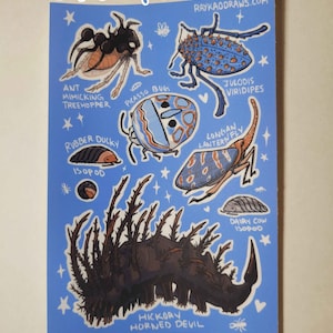 Interesting Bugs Sticker Sheet