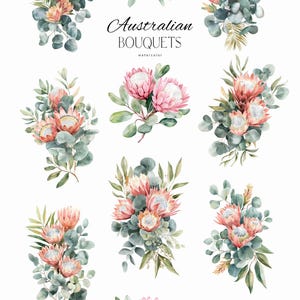 Puede incluir: Ilustraciones en acuarela de ramos australianos con flores de protea rosas y hojas de eucalipto. La imagen incluye el texto "Australian Bouquets" y "watercolor". Los ramos est&aacute;n dispuestos en varias composiciones sobre un fondo blanco.