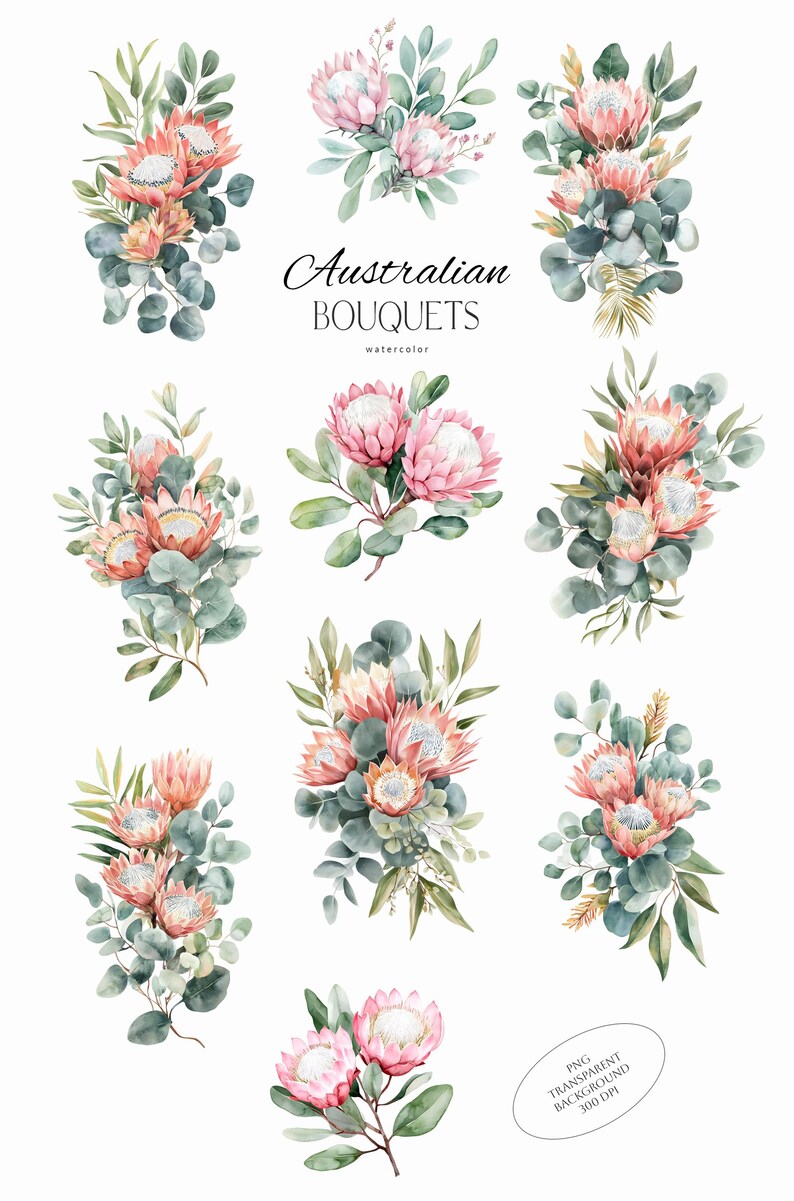 Puede incluir: Ilustraciones en acuarela de ramos australianos con flores de protea rosas y hojas de eucalipto. La imagen incluye el texto "Australian Bouquets" y "watercolor". Los ramos est&aacute;n dispuestos en varias composiciones sobre un fondo blanco.