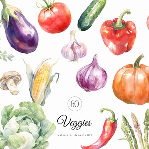 Acquerello Verdure PNG - Acquerello Verdure Fresche Clipart - Cibo Clipart - Eco vegano Ricetta clipart - Licenza di vendita illimitata