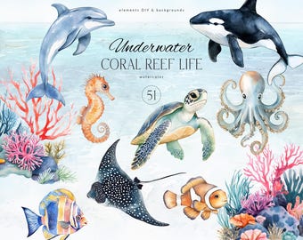 Clipart de animales del océano en acuarela - Clipart de arrecife de coral - Conjunto de clipart submarino en acuarela - Peces, animales marinos - Criaturas marinas