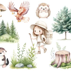Watercolor Woodland Animals Clipart - Cute Woodland Baby Animal ...