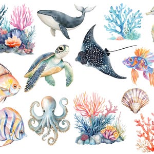 May include: Watercolor illustrations of various sea creatures and coral reefs.  The illustrations include a whale, a stingray, a sea turtle, a seahorse, a fish, an octopus, and a variety of coral reefs.