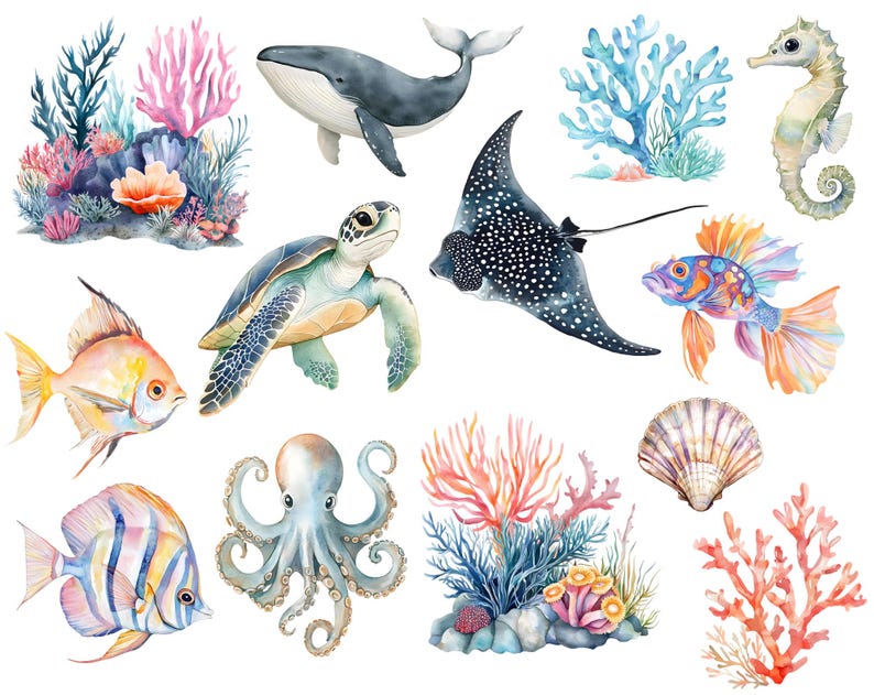 May include: Watercolor illustrations of various sea creatures and coral reefs.  The illustrations include a whale, a stingray, a sea turtle, a seahorse, a fish, an octopus, and a variety of coral reefs.