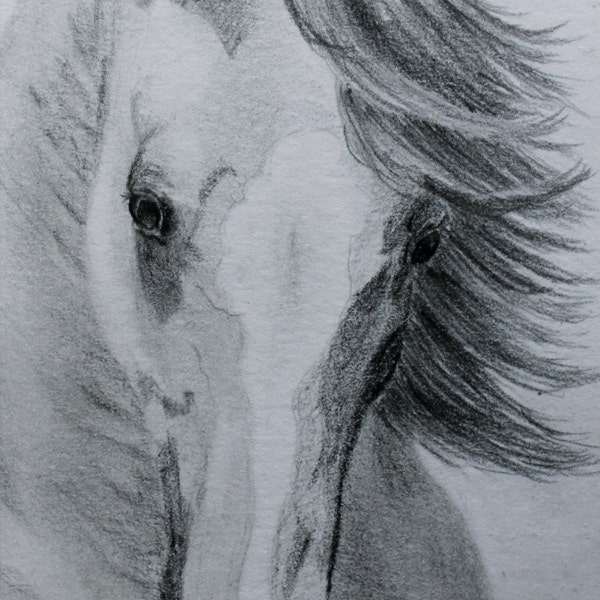 Equine pencil drawing original ACEO bay horse